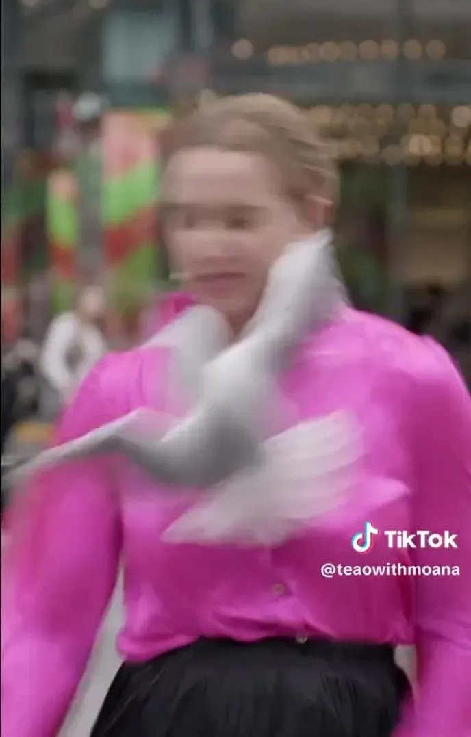 Watch: New Zealand journalist gets hit by bird while filming outdoors.