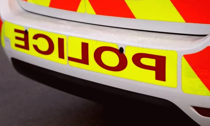 Man arrested after another man bitten during dog attack