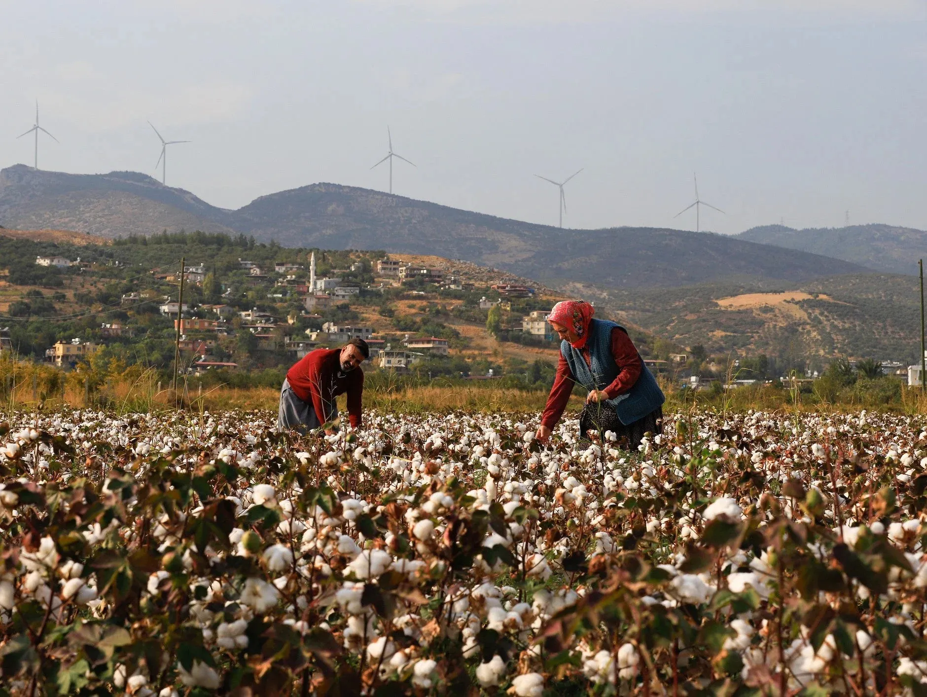 OCA introduces Turkey's inaugural organic cotton training program