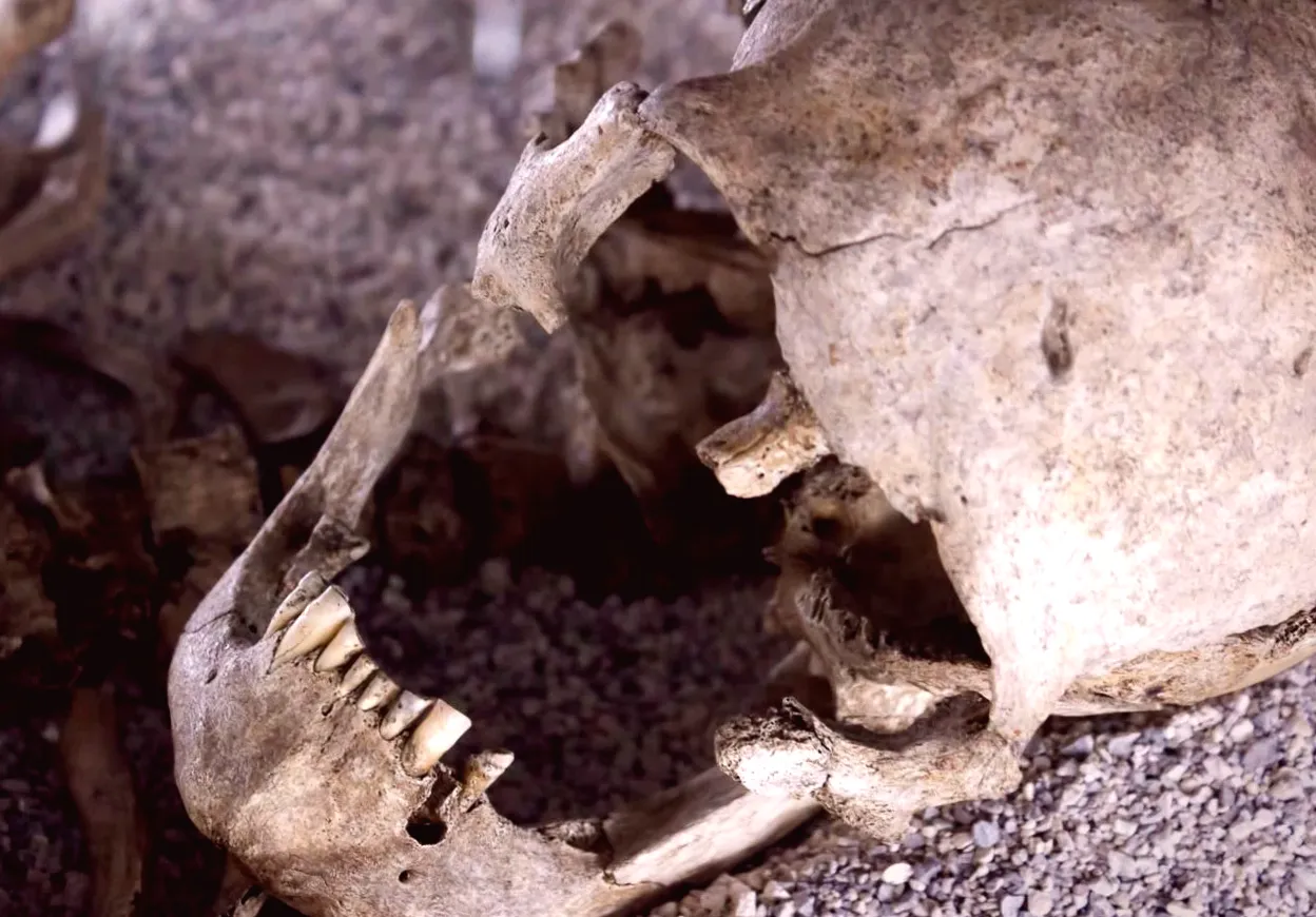 Archaeologists Discover Eerie Warning from the Roman Empire