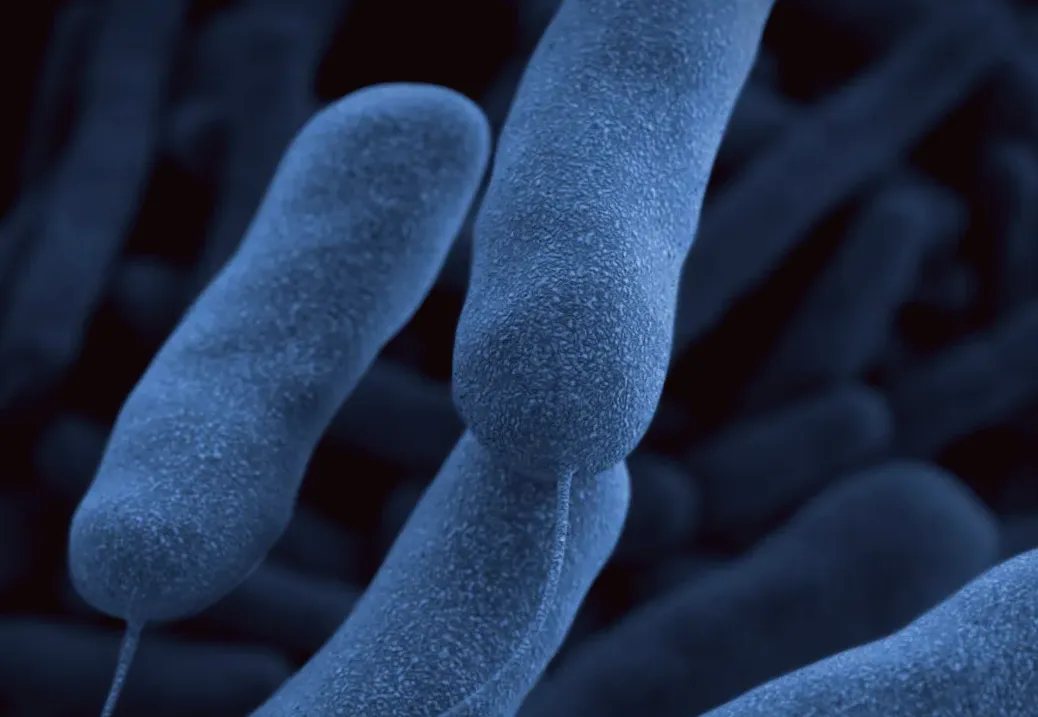 Experts say Florida Crunch Fitness may be the cause of a Legionnaires 'outbreak'