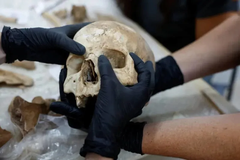 Ancient Spanish Skull Unveils Roman Intimidation Tactics, Enhancing Limited War History