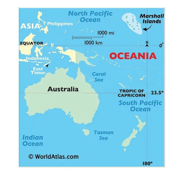 Understanding the Navigation Techniques of Marshall Islanders at Sea