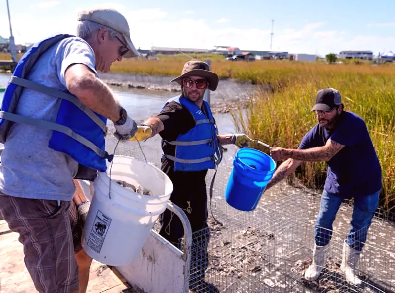 Louisiana's Decreasing Size Sparks Tribal Efforts to Safeguard Communities