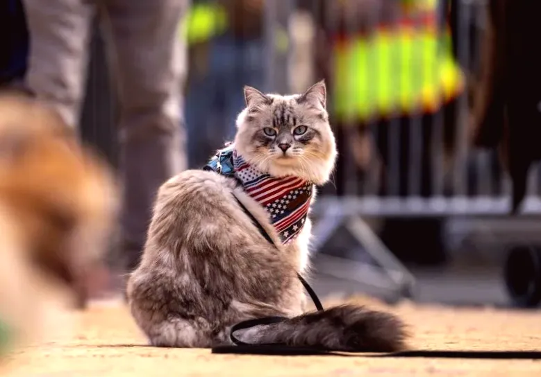 Check it out: 5 real stories of animal criminals