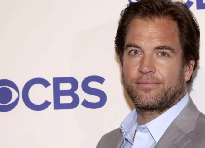 No Season 2 of 'Tony & Ziva' on Paramount+: Here's Why