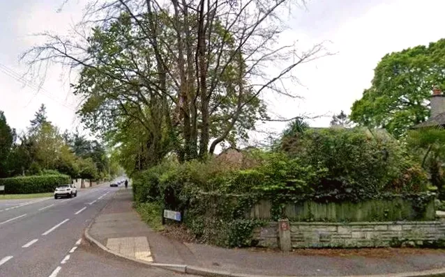 Seventeen-year-old boy arrested after elderly woman's death