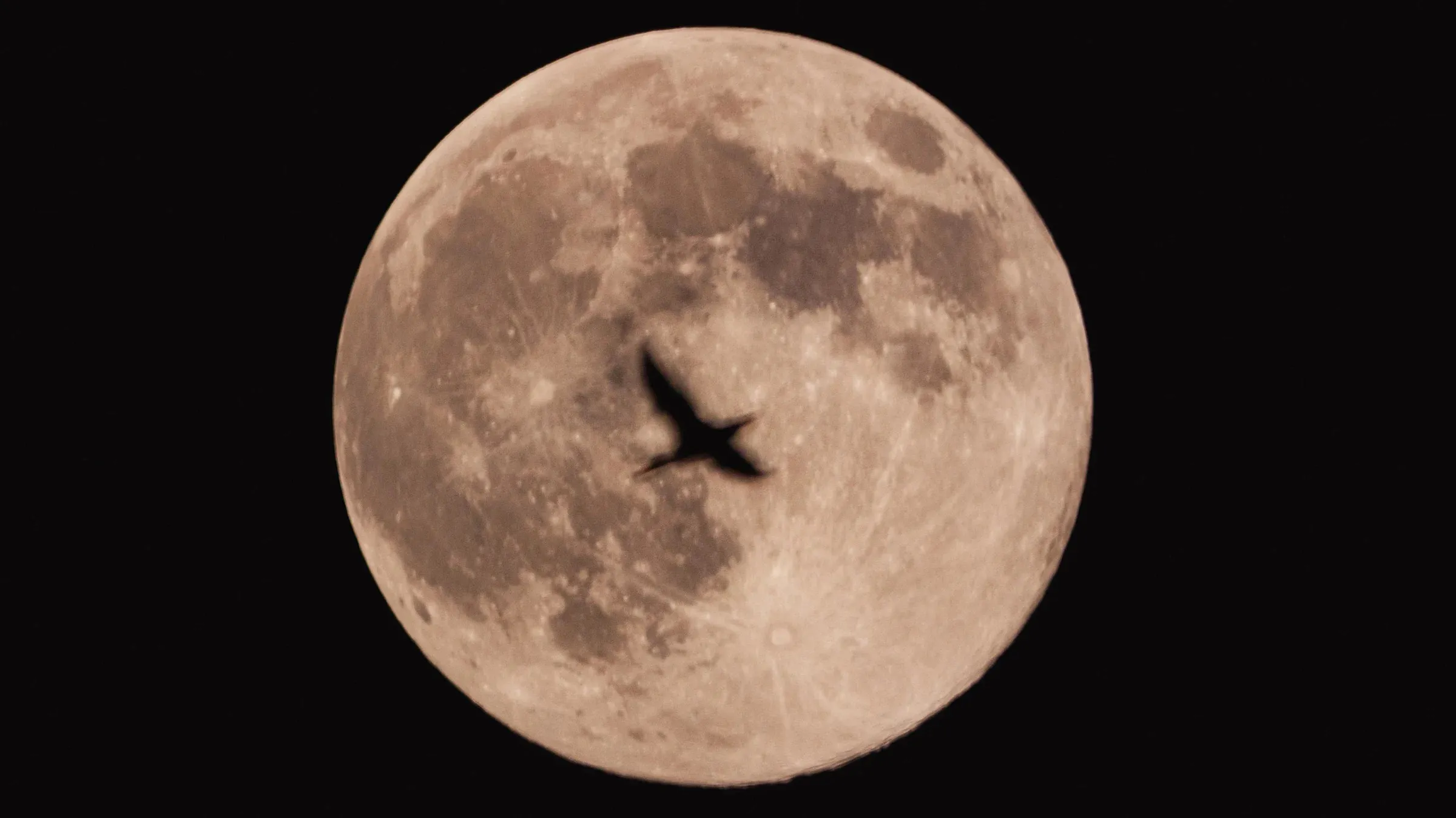 Final supermoon of the year illuminates the East