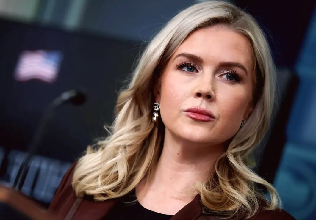 Video captures ICE agents surrounding a family member of Karoline Leavitt