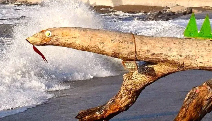 Beloved 'logness monster' swept out to sea by stormy weather