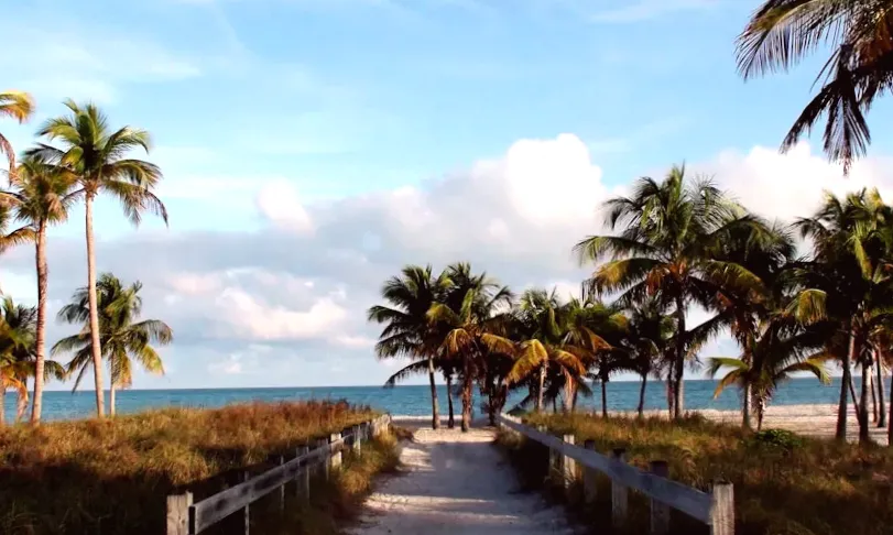 Residents in a popular tourist destination are considering relocating due to frequent safety concerns: 'Many residents are facing difficulties'