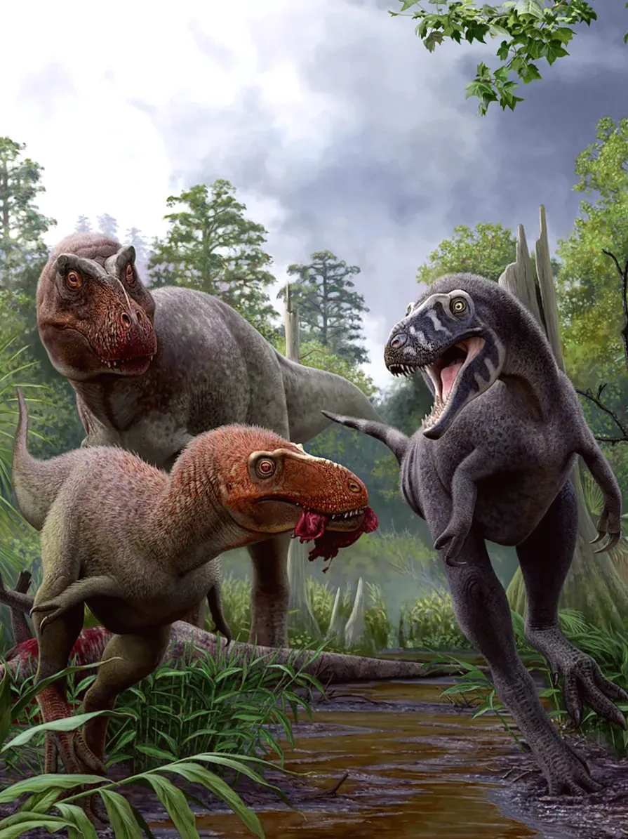 Nanotyrannus probably was a small adult dinosaur, not a teenage T. rex