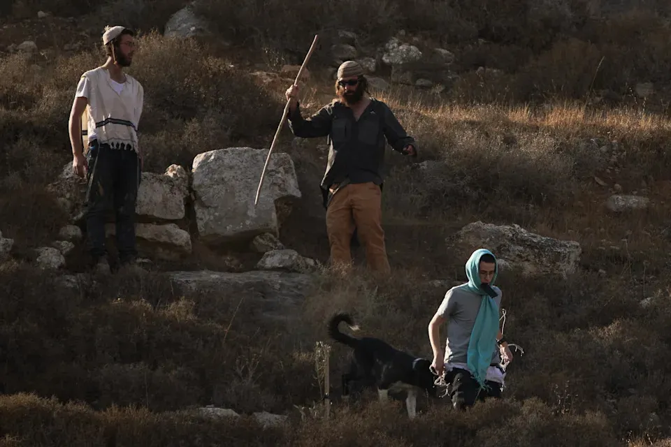 Photos document olive harvest in the West Bank amidst concerns of increased violence from Israeli settlers
