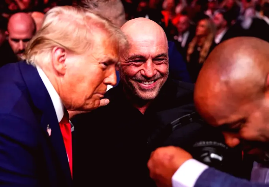 Joe Rogan Shares Surprising Detail About Donald Trump