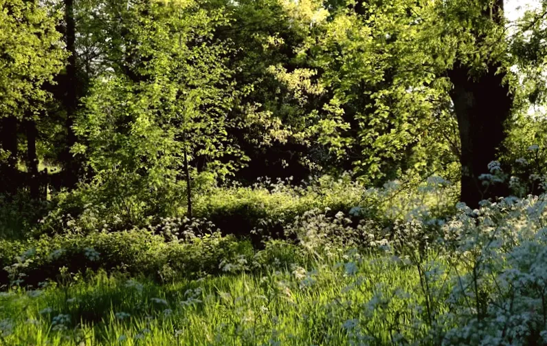 Warning Issued by Experts as Destructive Growth Spreads Throughout US Region: 'Extremely Alarming'