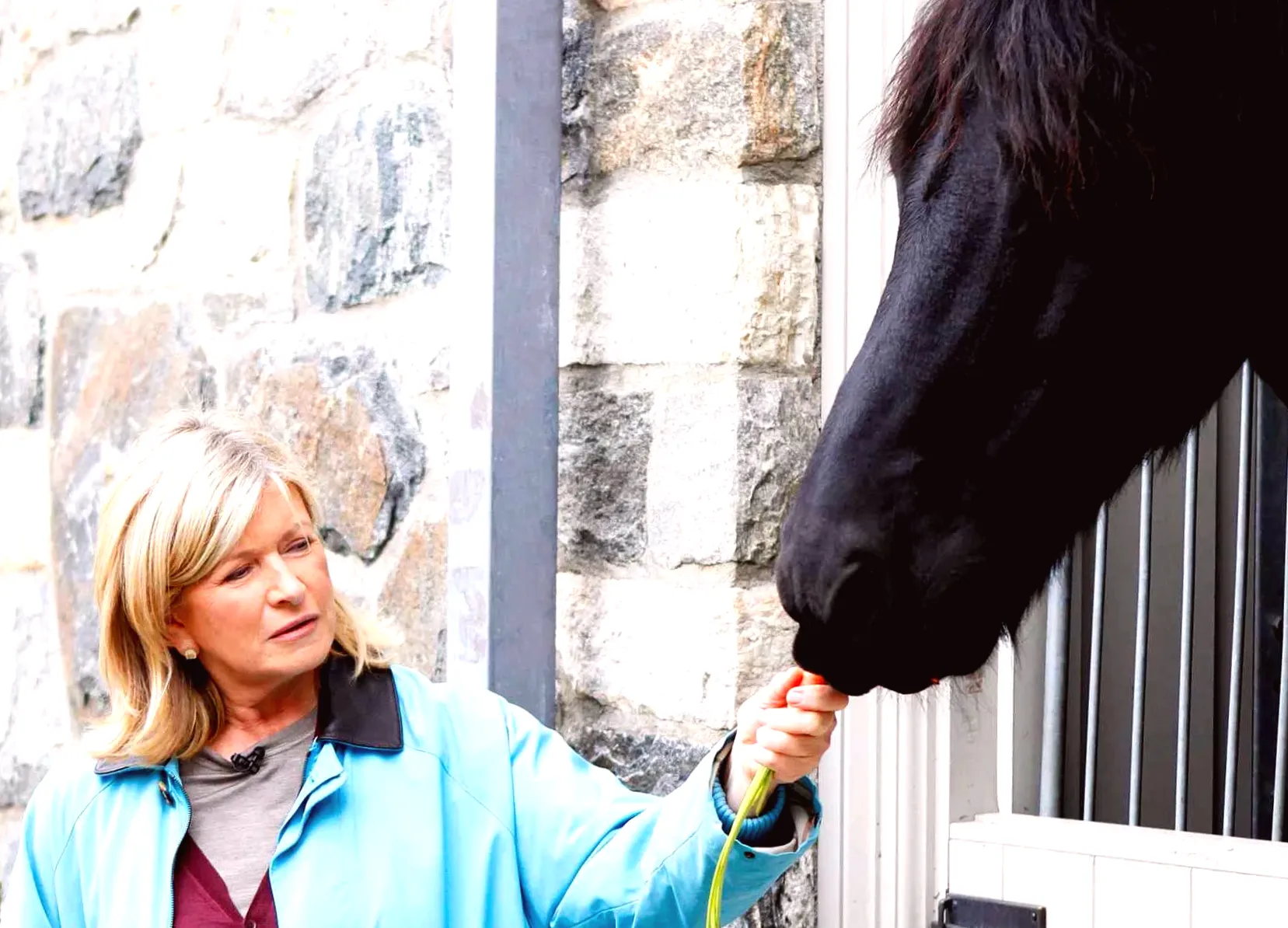 Martha Stewart lays to rest deceased horses in 'clean white linen' on her property: 'Beautiful final resting place'