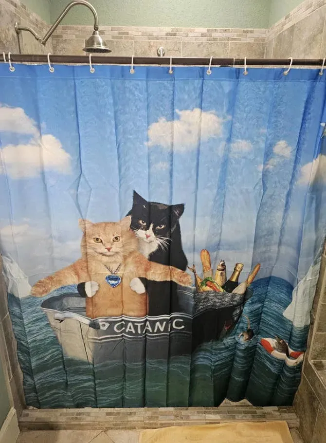 73 Hilarious Pictures From This Year That Are Much Funnier Than Expected