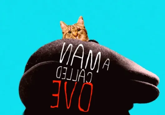 Global Game Changer: Fredrik Wikström Nicastro, Producer of 'A Man Called Otto', Invests in Positivity with Hope Studios