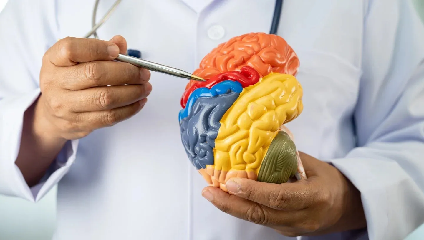 Vandria reports top-line findings from Phase I study of VNA-318