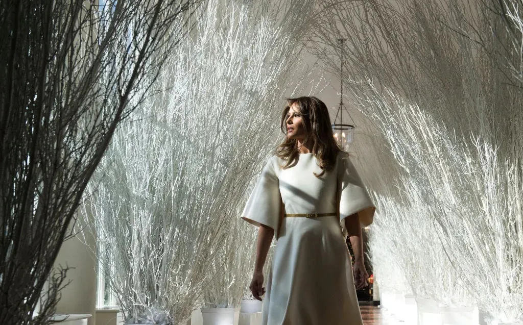 Donald Trump now the one making controversial White House design choices after Melania Trump.