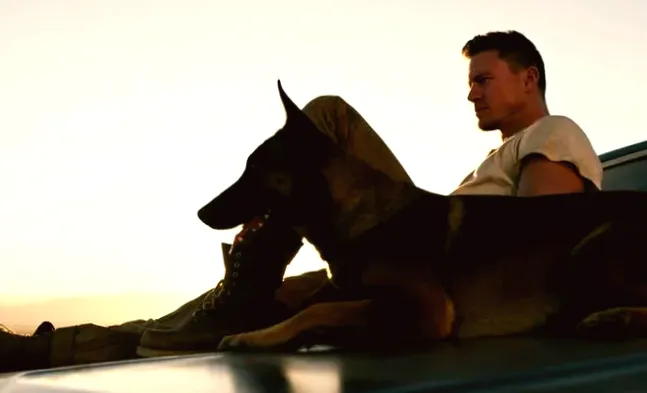 Channing Tatum's Netflix Hit in 2022 is the Ideal Film for Animal Enthusiasts