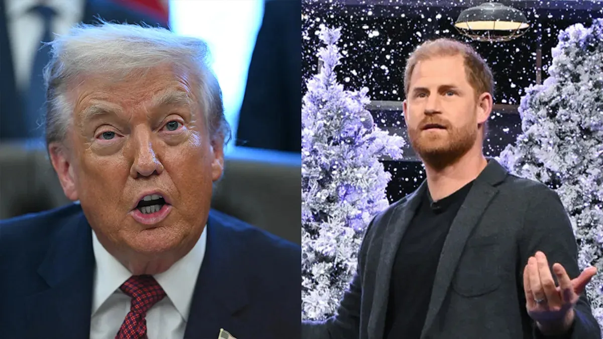 Prince Harry Criticizes Trump After Feeling Betrayed by President's Intentional Snub