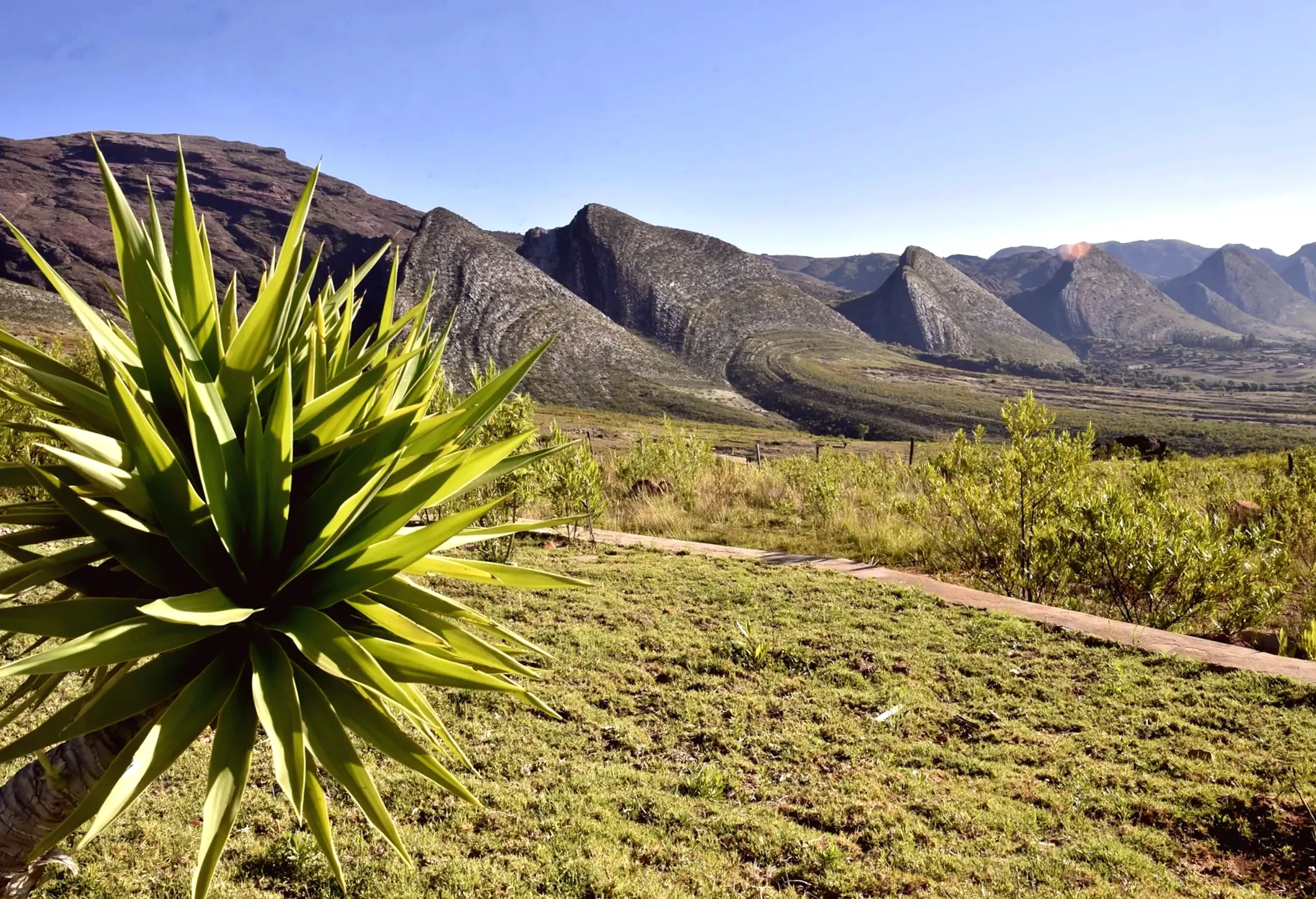 This is the location where paleontologists discovered thousands of dinosaur tracks