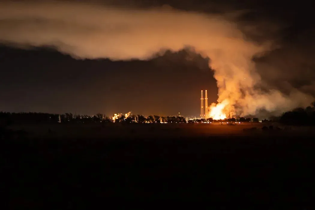 Wetlands captured toxic metals as world's largest battery power plant caught fire