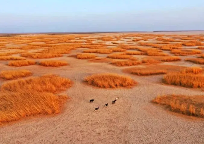 Nature retracts German study on worldwide expenses of climate change