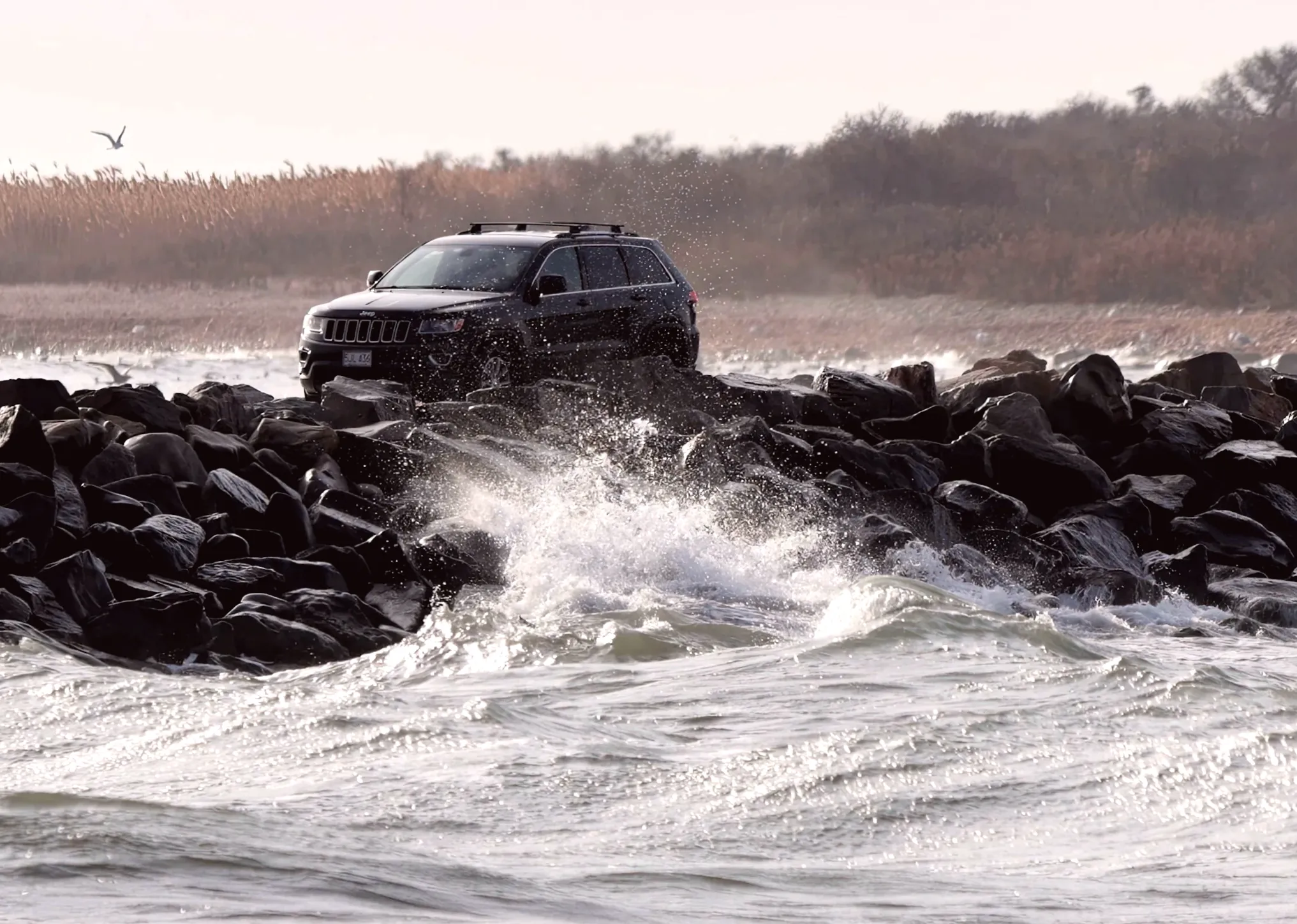 Strong winds expected to hit the SouthCoast this weekend. What you need to know.