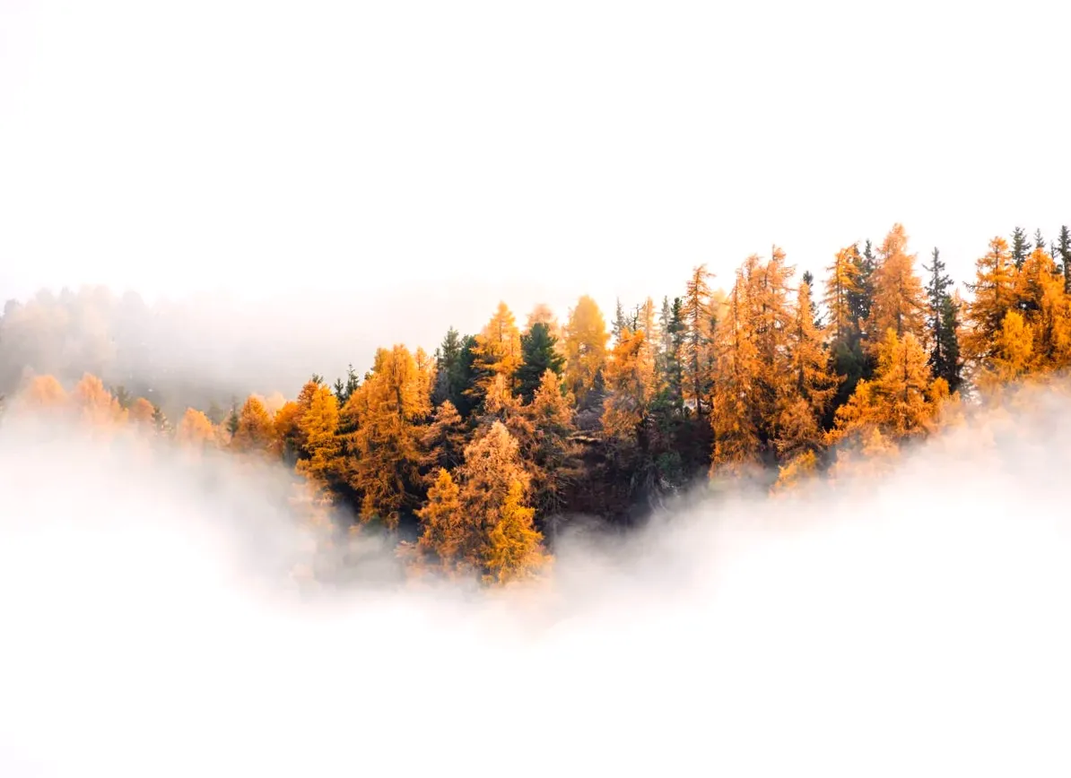 Archaeologists Discover 100 Structures From an Ancient City While Exploring a Cloud Forest