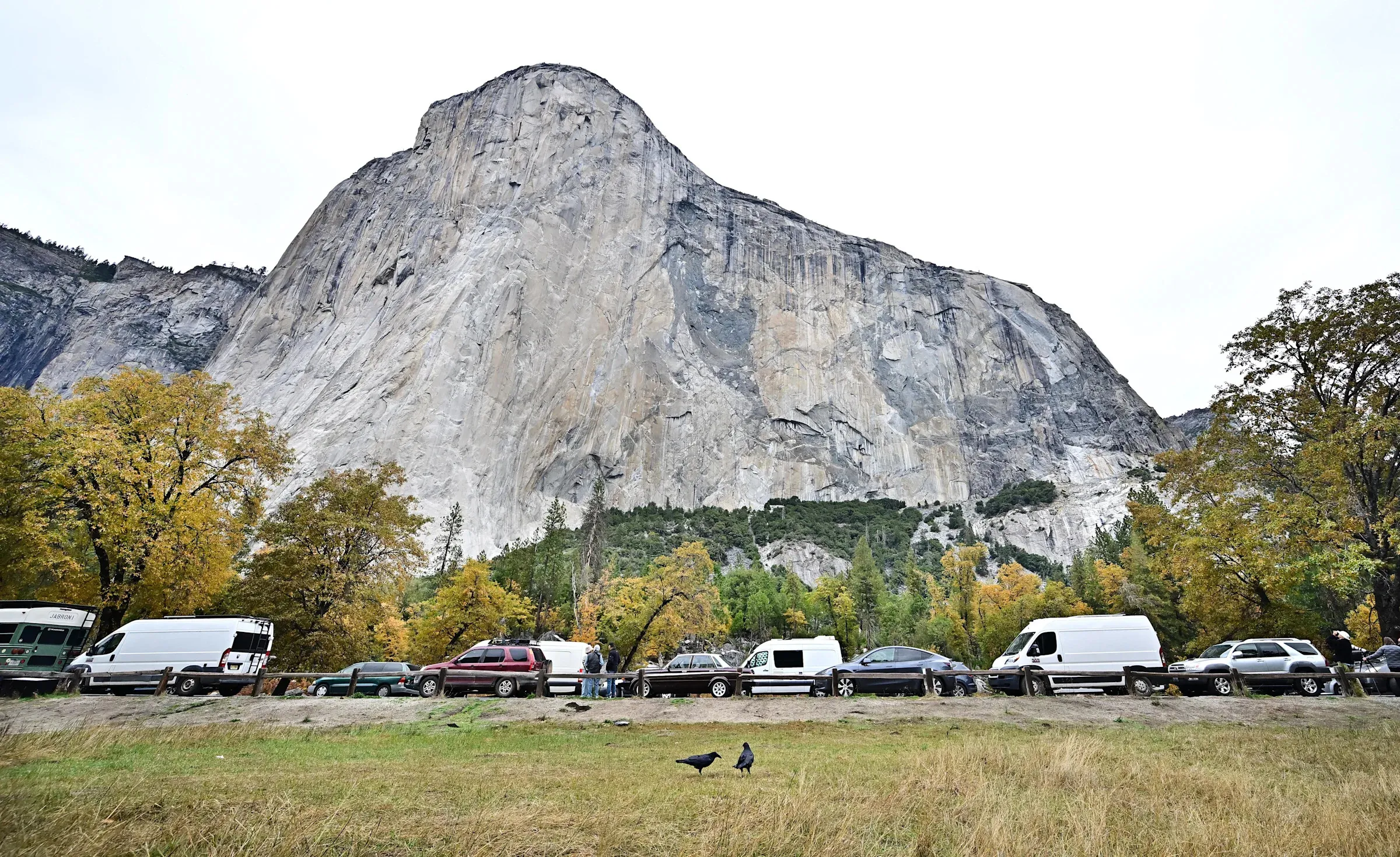 Sasha DiGiulian Makes History as First Woman to Free-Climb El Capitan's Longest Route