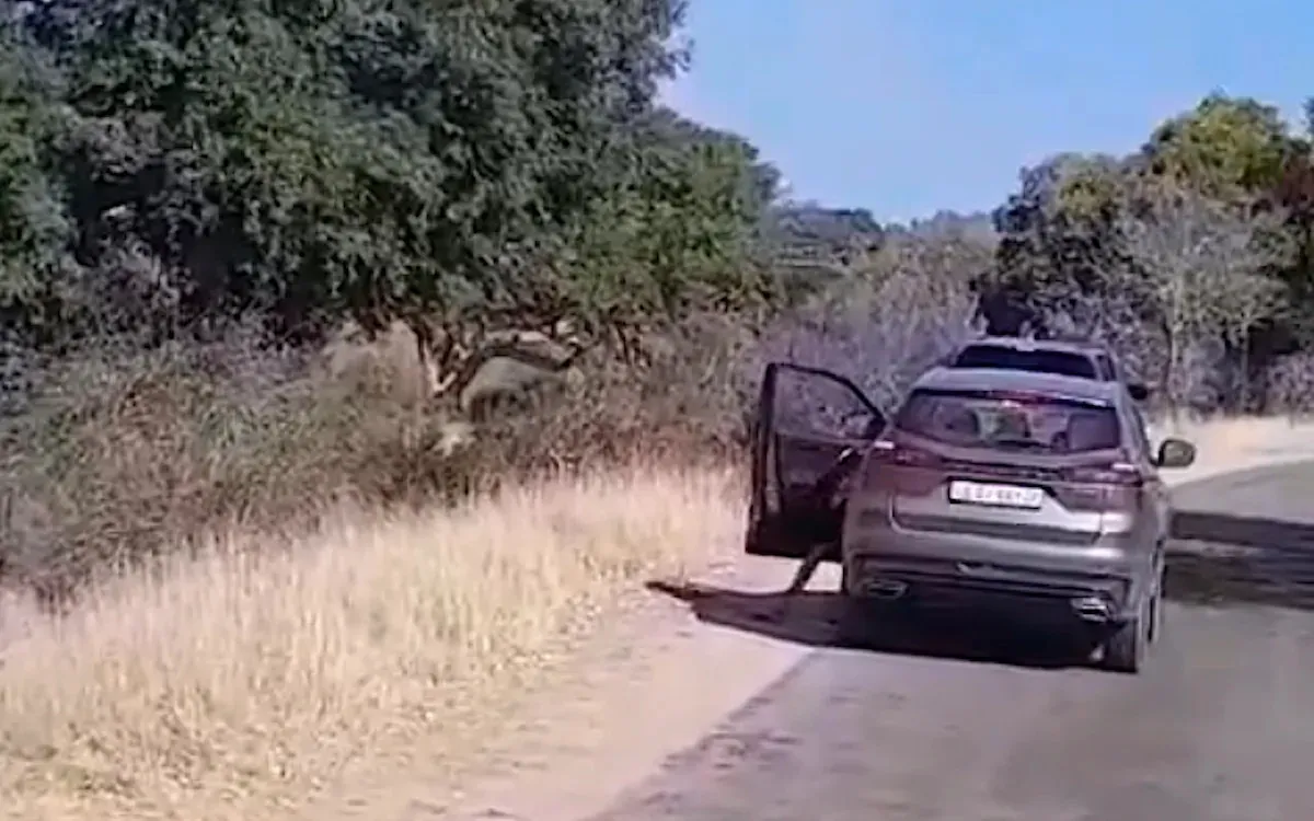 Tourists receive fines for breaking national park rule in broad daylight: 'They deserved it'