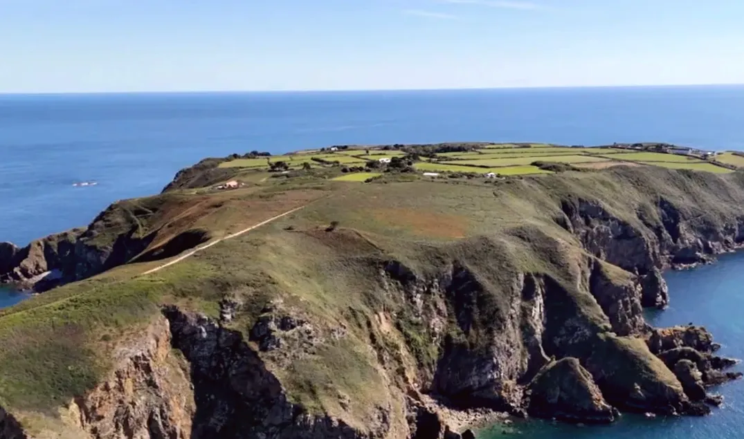 Valuer assigned to assess electricity company's worth