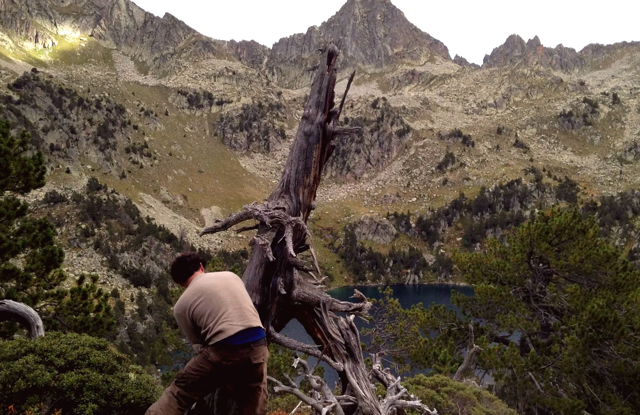 Volcanic eruption linked to Black Death