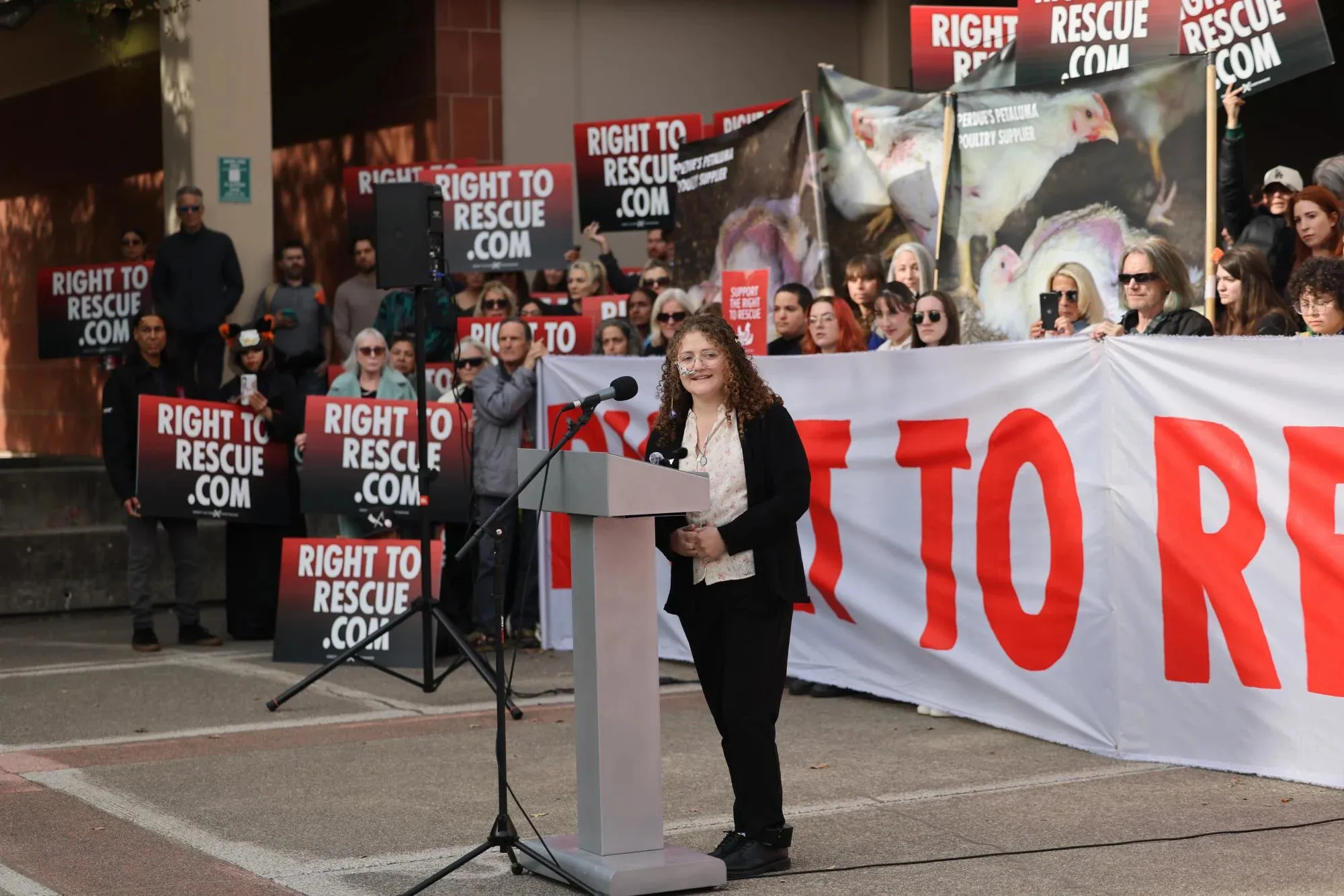 American student sentenced to 90 days in jail for stealing four chickens from a farm