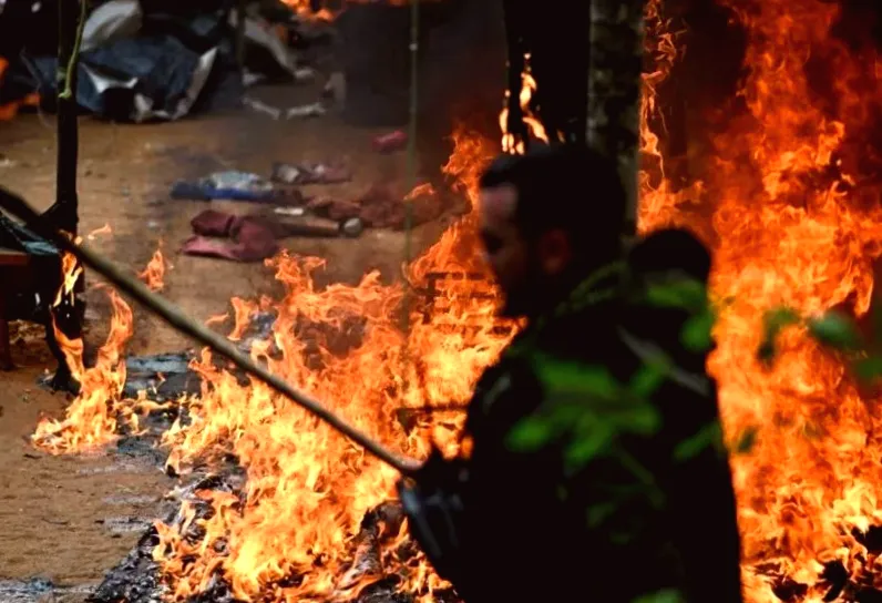 Illegal activities and criminal organizations exacerbate Amazon deforestation in 2025