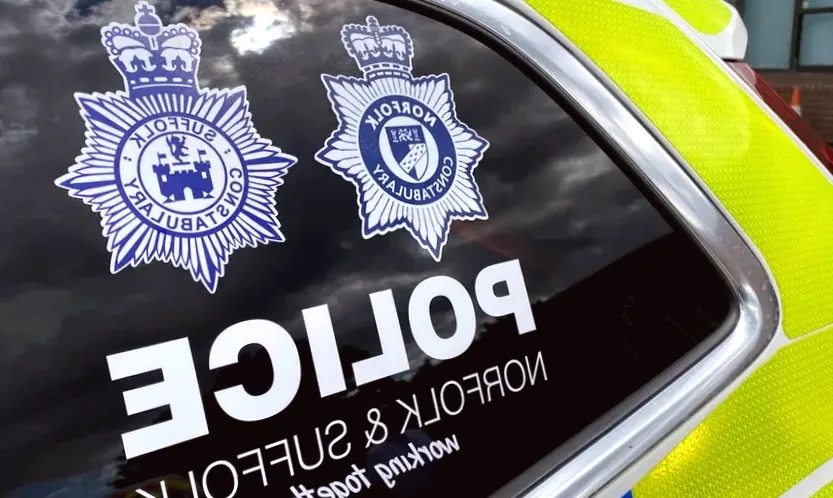 Two additional individuals apprehended following sexual assault on runner