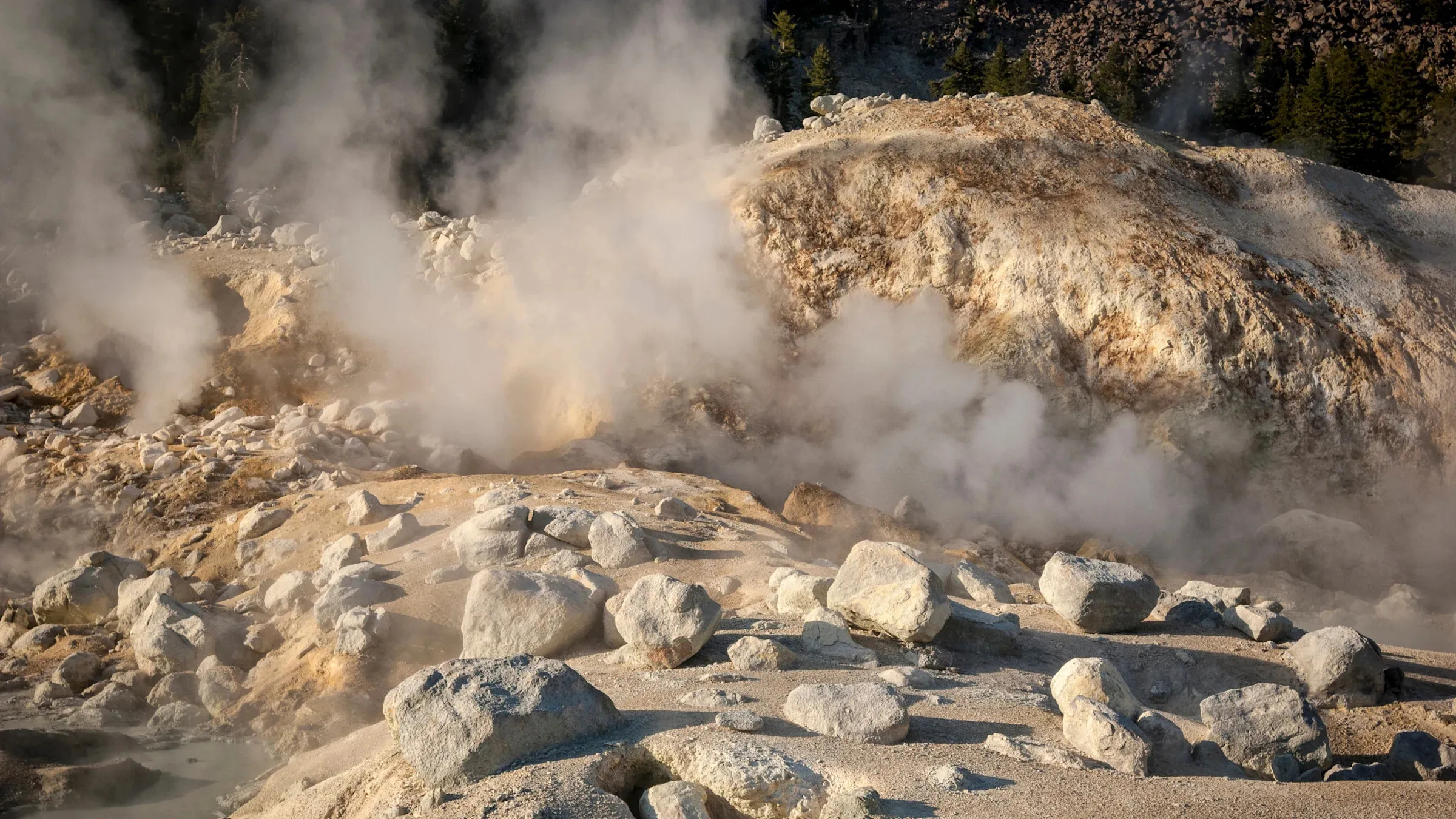 Recently Found 'Heat-Resistant Amoeba' Can Thrive in Extreme Heat