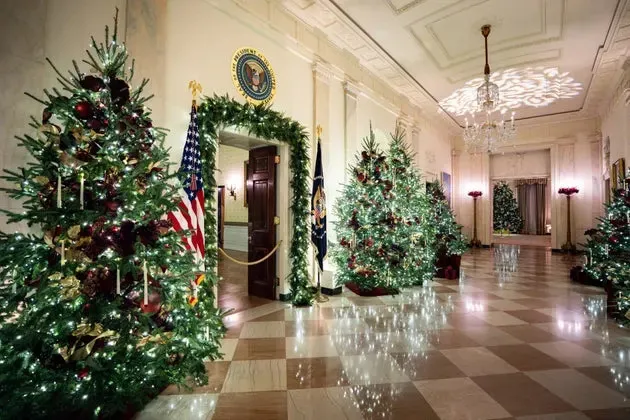 Interior Designers Give Their Opinion on 'Baffling' White House Holiday Decor