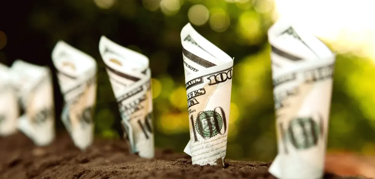 VIG vs. VYM: Which Vanguard Dividend ETF Offers a Better Investment Opportunity?