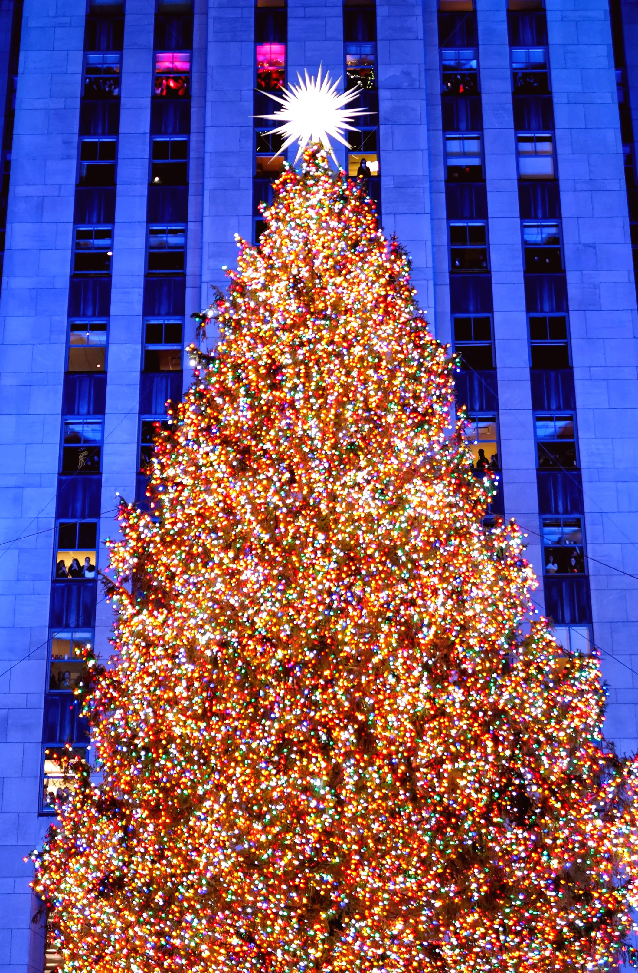 Witness the iconic lighting of the Rockefeller Christmas tree in New York City