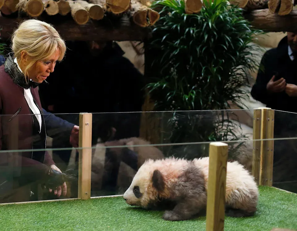 French first lady Brigitte Macron pays a visit to an old friend in China: A giant panda named Yuan Meng