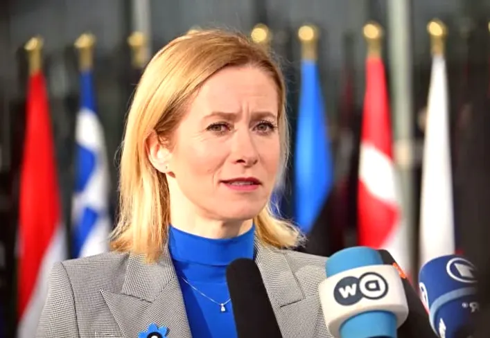 'We must stay united': Top EU diplomat supports partnership with US