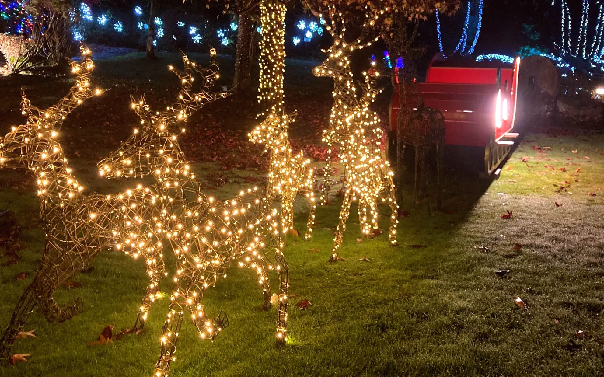 Transforming a garden into a Winter Wonderland for a charitable cause