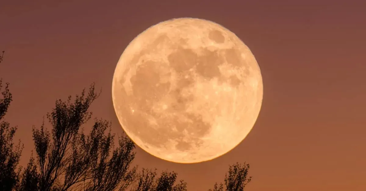 This week marks the rise of the last supermoon in 2025