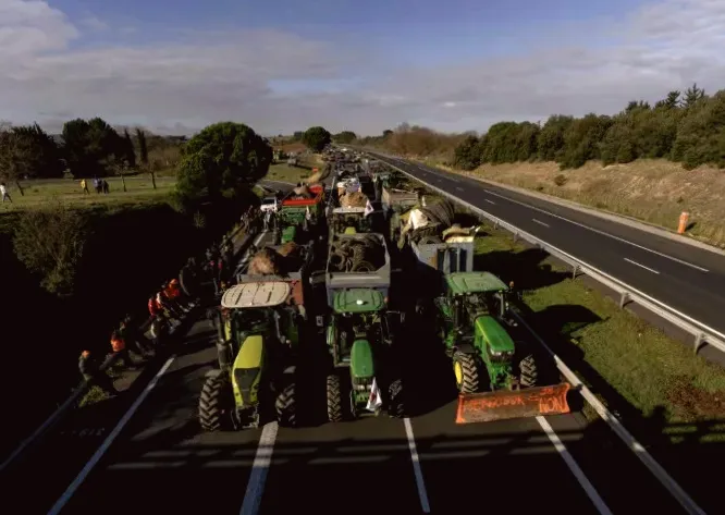 Lessons on handling cow virus chaos learned from Balkan nations