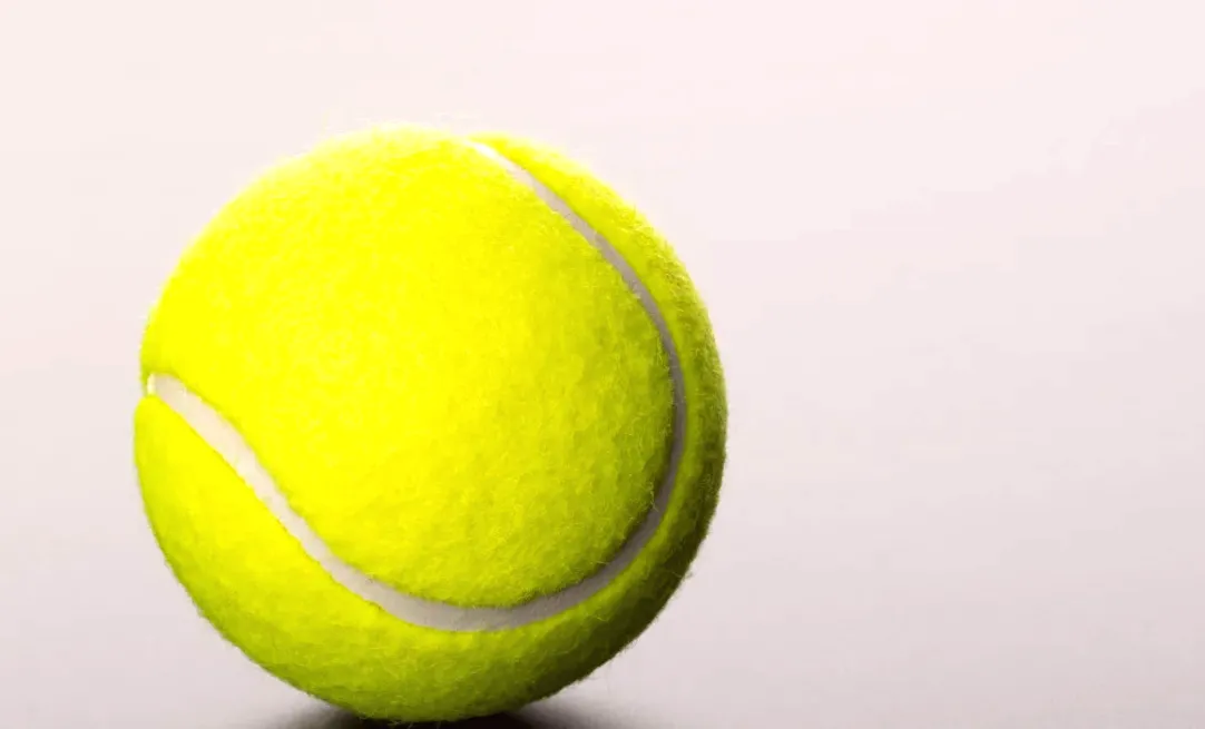 3 Yorkies Join Forces to Retrieve a Stuck Ball