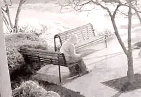 Suspected pipe bomber admits supporting Trump and believing in 2020 election conspiracies, tells FBI