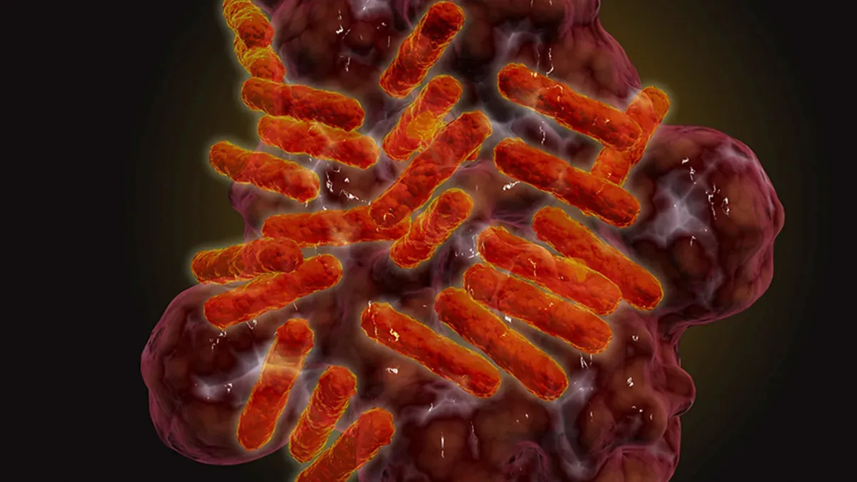 Newly Discovered Tick-Borne Disease in Dogs Could Threaten Humans